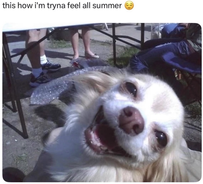 this how i'm tryna feel all summer