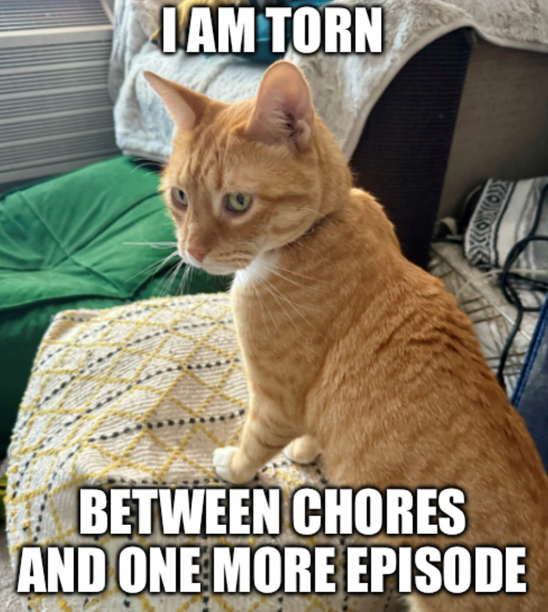 I AM TORN BETWEEN CHORES AND ONE MORE EPISODE