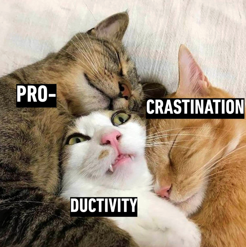 PRO- CRASTINATION DUCTIVITY