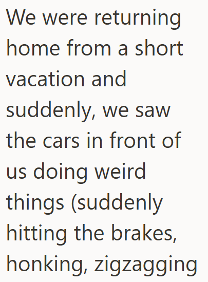 We were returning home from a short vacation and suddenly, we saw the cars in front of us doing weird things (suddenly hitting the brakes, honking, zigzagging