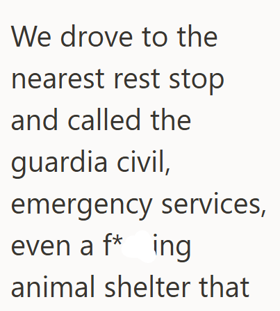 We drove to the nearest rest stop and called the guardia civil, emergency services, even a f* ing animal shelter that