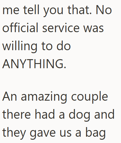 me tell you that. No official service was willing to do ANYTHING. An amazing couple there had a dog and they gave us a bag