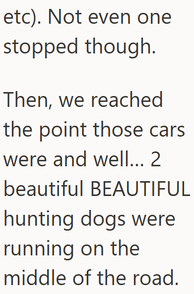 etc). Not even one stopped though. Then, we reached the point those cars were and well... 2 beautiful BEAUTIFUL hunting dogs were running on the middle of the road.