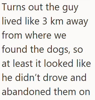 Turns out the guy lived like 3 km away from where we found the dogs, so at least it looked like he didn't drove and abandoned them on