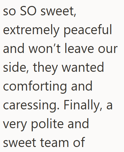 so SO sweet, extremely peaceful and won't leave our side, they wanted comforting and caressing. Finally, a very polite and sweet team of