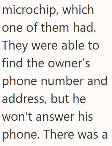 microchip, which one of them had. They were able to find the owner's phone number and address, but he won't answer his phone. There was a