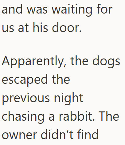 and was waiting for us at his door. Apparently, the dogs escaped the previous night chasing a rabbit. The owner didn't find