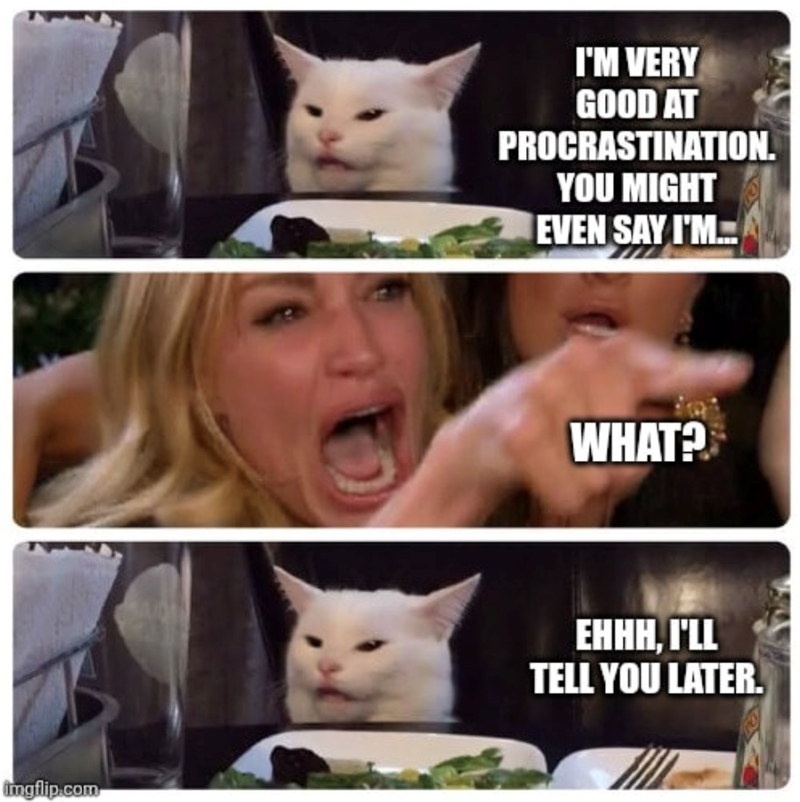 imgflip.com I'M VERY GOOD AT PROCRASTINATION. YOU MIGHT EVEN SAY I'M... WHAT? EHHH, I'LL TELL YOU LATER.