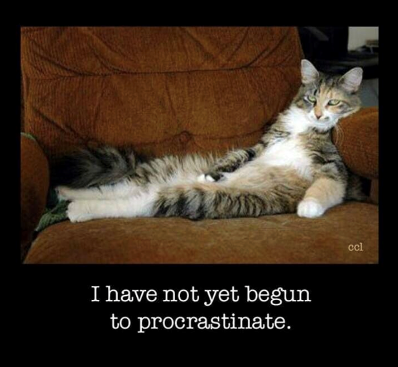 I have not yet begun to procrastinate. ccl