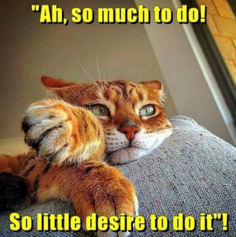 "Ah, so much to do! So little desire to do it"!