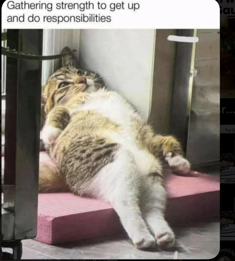 Gathering strength to get up and do responsibilities au r... by M offine do. w