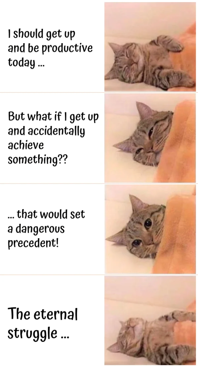 I should get up and be productive today... But what if I get up and accidentally achieve something?? ... that would set a dangerous precedent! The eternal struggle...