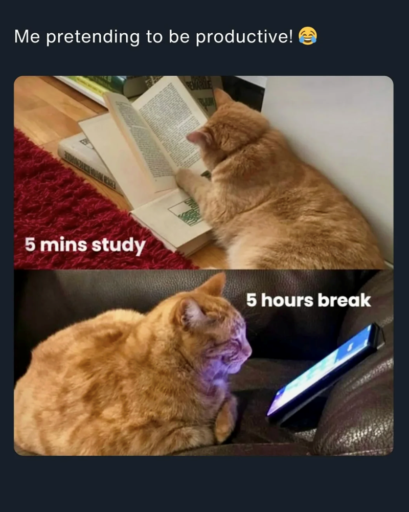 Me pretending to be productive! REVARDE 5 mins study 5 hours break