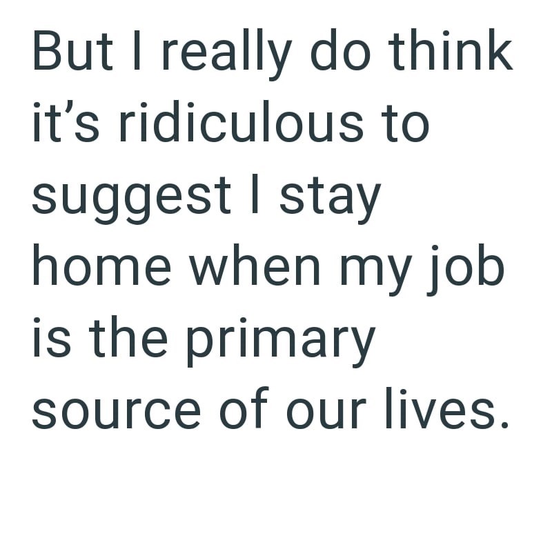 But I really do think it's ridiculous to suggest I stay home when my job is the primary source of our lives.