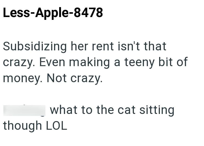 Less-Apple-8478 Subsidizing her rent isn't that crazy. Even making a teeny bit of money. Not crazy. what to the cat sitting though LOL