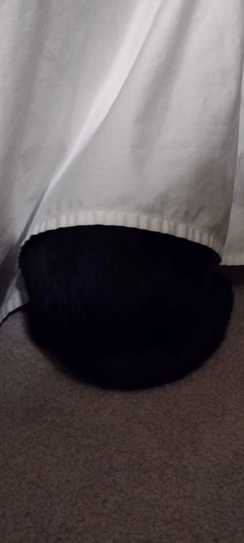 Cheezburger Image 10622817024