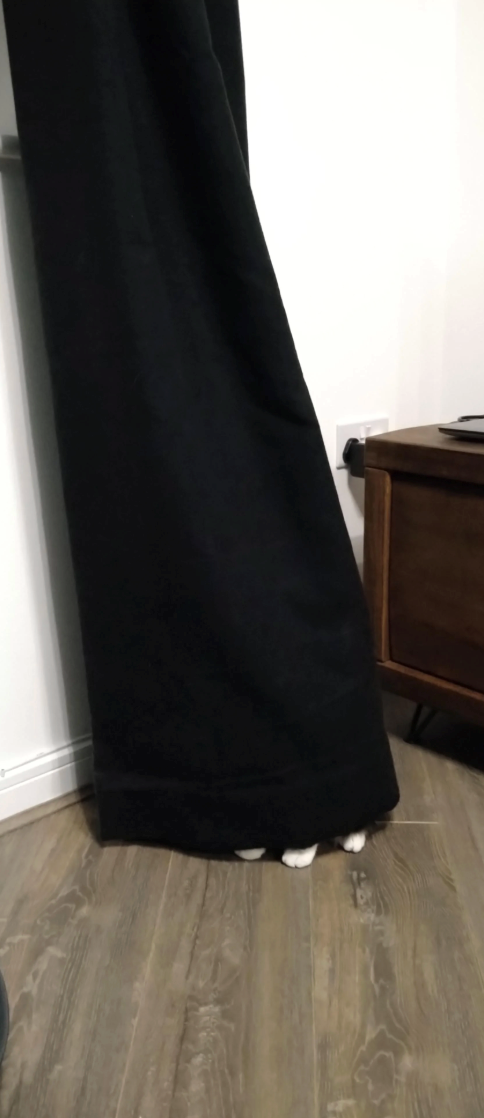 Cheezburger Image 10622821120