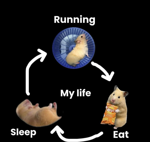 Sleep Running My life ays Eat