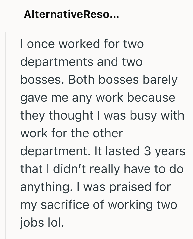 Alternative Reso... I once worked for two departments and two bosses. Both bosses barely gave me any work because they thought I was busy with work for the other department. It lasted 3 years. that I didn't really have to do anything. I was praised for my sacrifice of working two jobs lol.
