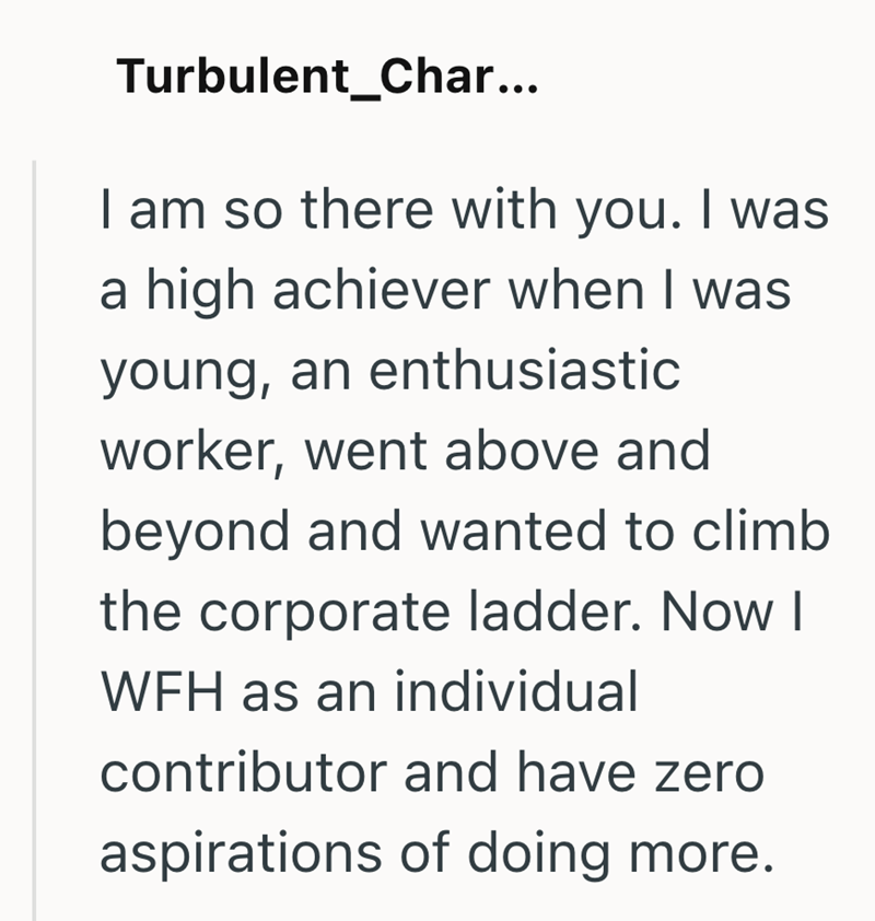 Turbulent_Char... I am so there with you. I was a high achiever when I was young, an enthusiastic worker, went above and beyond and wanted to climb the corporate ladder. Now I WFH as an individual contributor and have zero aspirations of doing more.