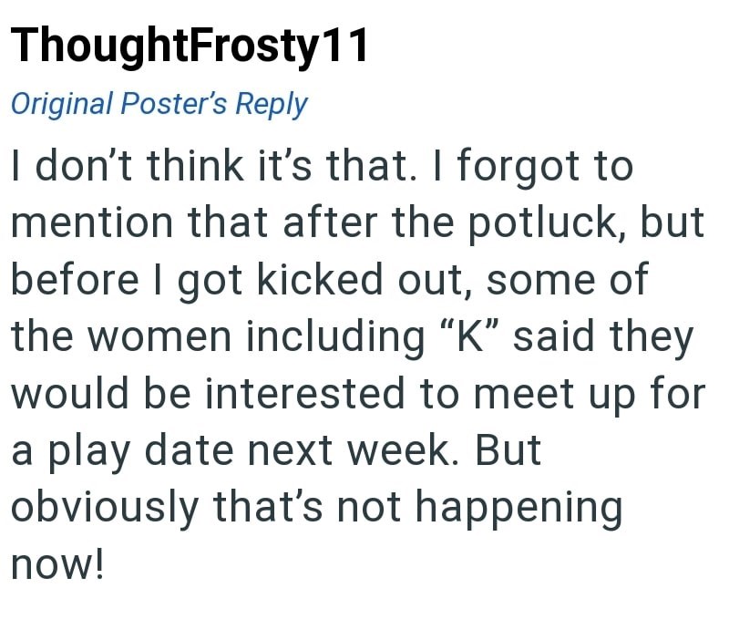 ThoughtFrosty11 Original Poster's Reply I don't think it's that. I forgot to mention that after the potluck, but before I got kicked out, some of the women including "K" said they would be interested to meet up for a play date next week. But obviously that's not happening now!