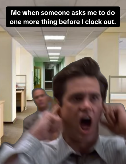 Me when someone asks me to do one more thing before I clock out.
