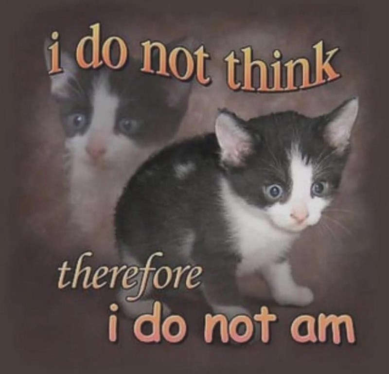 i do not think therefore i do not am