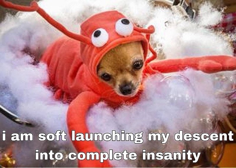 i am soft launching my descent into complete insanity
