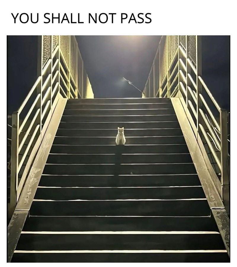 YOU SHALL NOT PASS