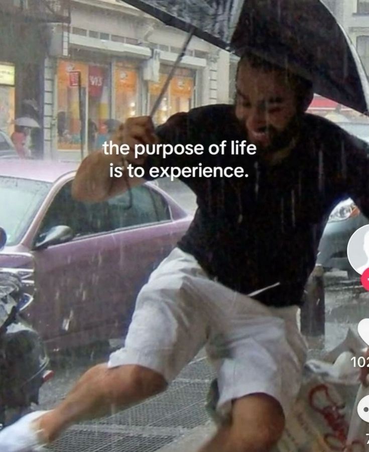 VIS the purpose of life is to experience. 102