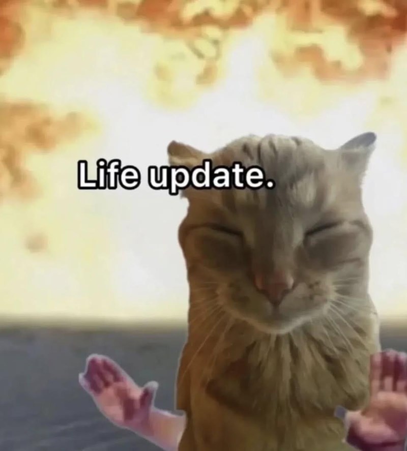 Life update.