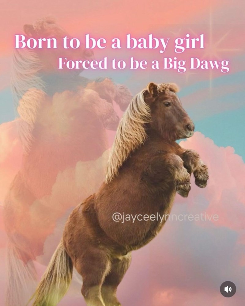 Born to be a baby girl Forced to be a Big Dawg @jayceelynncreative