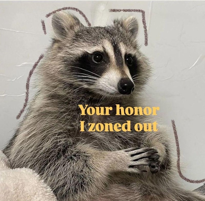 Your honor I zoned out