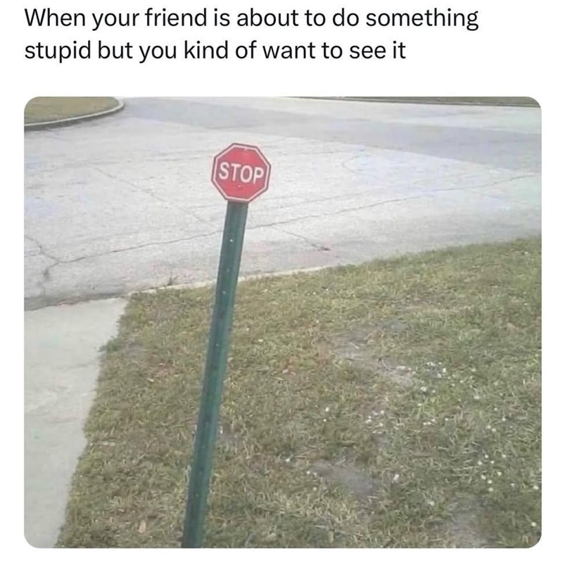 When your friend is about to do something stupid but you kind of want to see it STOP