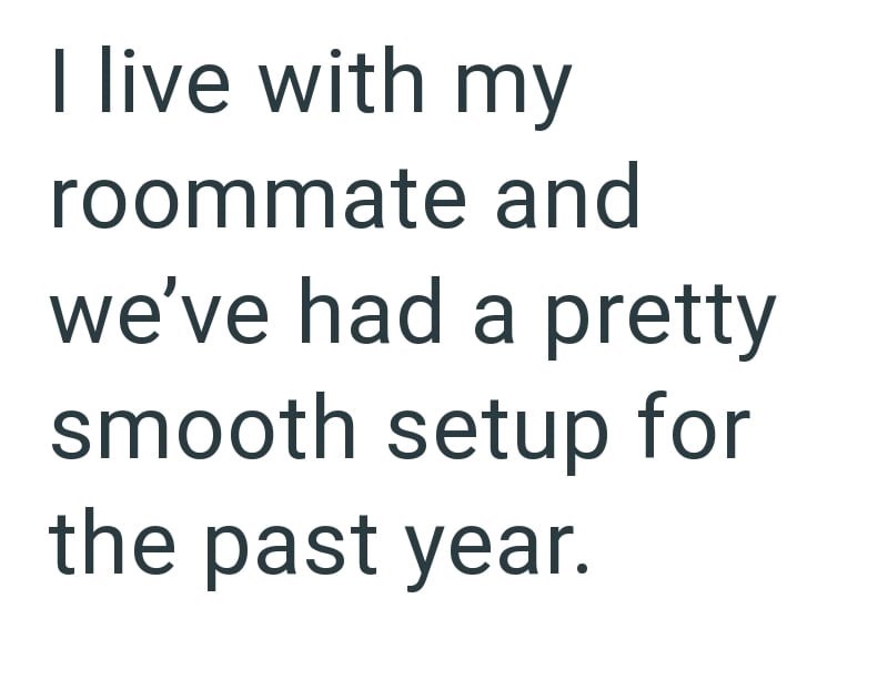 I live with my roommate and we've had a pretty smooth setup for the past year.