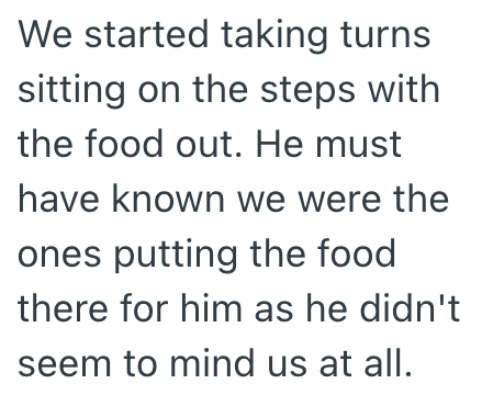 We started taking turns sitting on the steps with the food out. He must have known we were the ones putting the food there for him as he didn't seem to mind us at all.