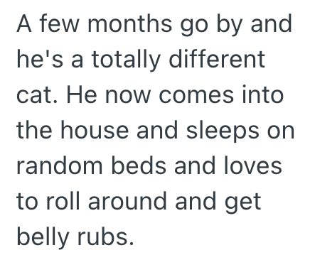 A few months go by and he's a totally different cat. He now comes into the house and sleeps on random beds and loves to roll around and get belly rubs.