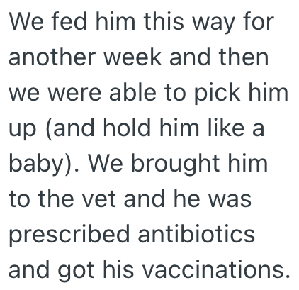We fed him this way for another week and then we were able to pick him up (and hold him like a baby). We brought him to the vet and he was prescribed antibiotics and got his vaccinations.