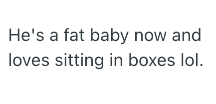 He's a fat baby now and loves sitting in boxes lol.