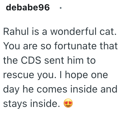 debabe96 Rahul is a wonderful cat. You are so fortunate that the CDS sent him to rescue you. I hope one day he comes inside and stays inside.