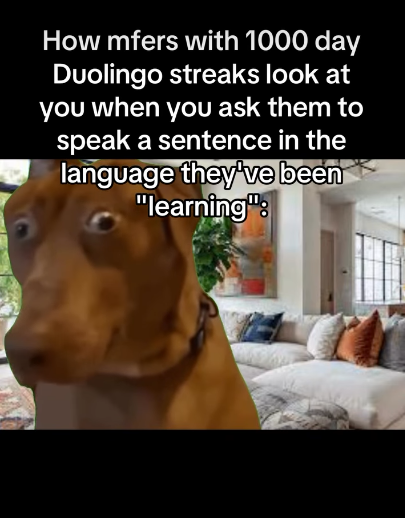 How mfers with 1000 day Duolingo streaks look at you when you ask them to speak a sentence in the language they've been "learning":