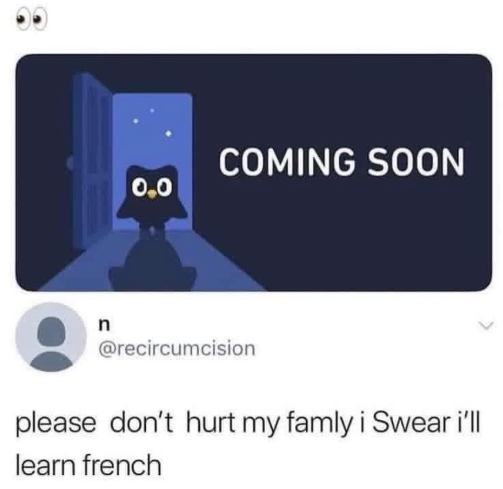 n COMING SOON 0.0 @recircumcision please don't hurt my famly i Swear i'll learn french