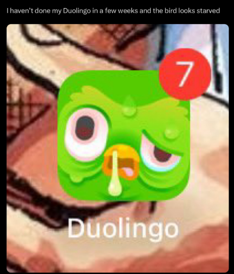 I haven't done my Duolingo in a few weeks and the bird looks starved Duolingo 7