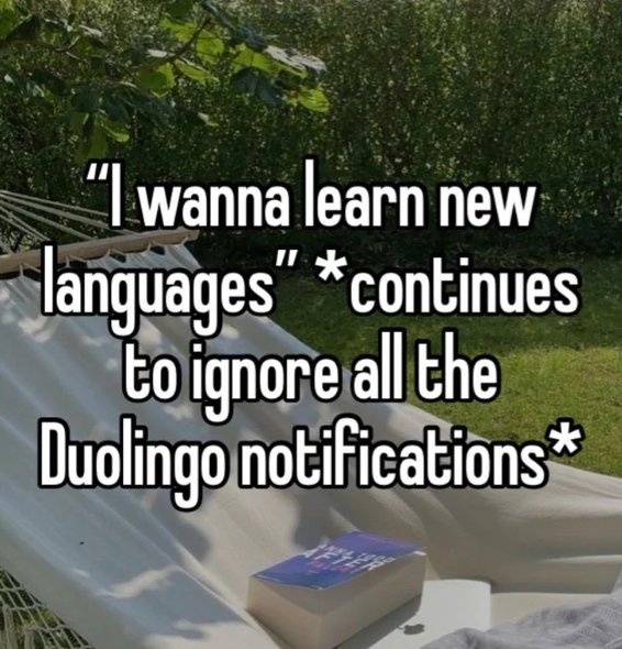 "I wanna learn new languages" *continues to ignore all the Duolingo notifications*