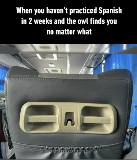 When you haven't practiced Spanish in 2 weeks and the owl finds you no matter what F UPD