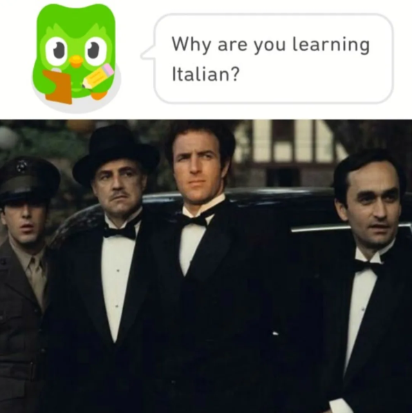 Why are you learning Italian?