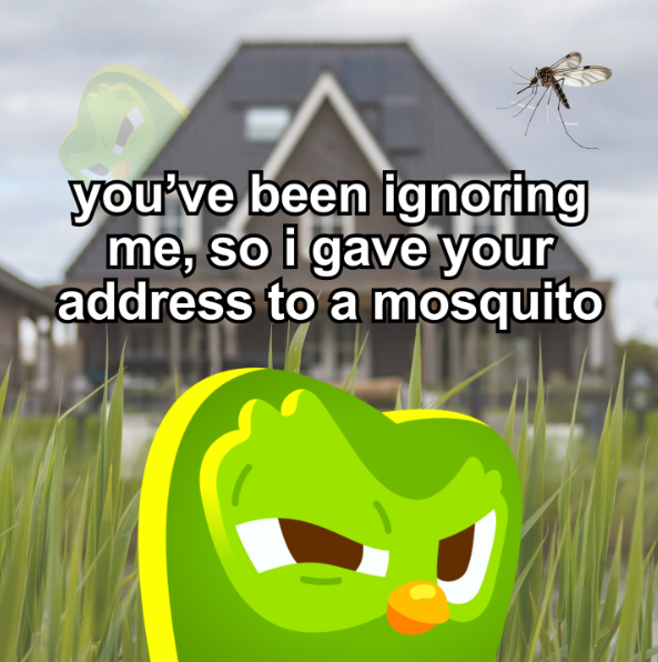 A you've been ignoring me, so i gave your address to a mosquito