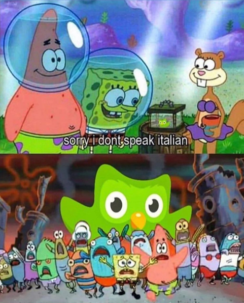 Sorry i dont speak italian 8