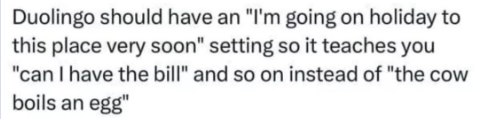 Duolingo should have an "I'm going on holiday to this place very soon" setting so it teaches you "can I have the bill" and so on instead of "the cow boils an egg"