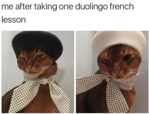 me after taking one duolingo french lesson